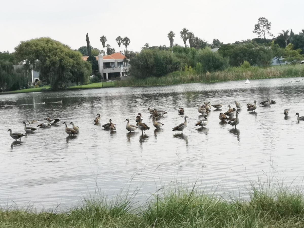 Southy Inn By The Lake เบโนนิ ภายนอก รูปภาพ